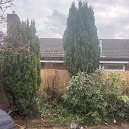 Lancashire Tree Care photo 3