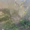 Lancashire Tree Care photo 4