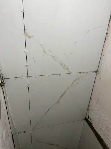 Domi Diamond Painting And Decorating Service photo 7