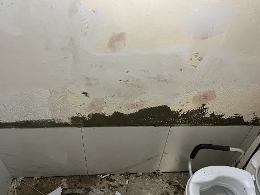 Domi Diamond Painting And Decorating Service photo 8