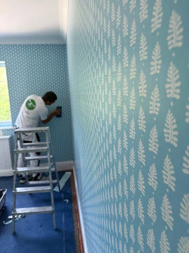 Home Painting And Decorating Ltd photo 6