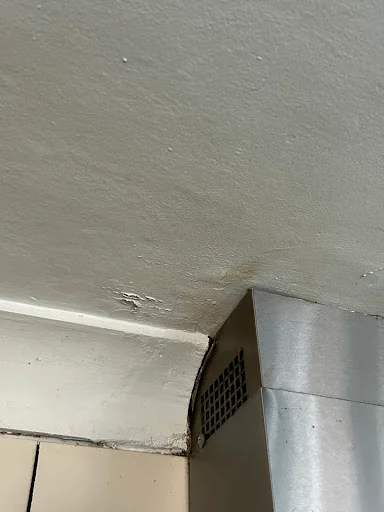 Marshall Laurence Surveyors photo 2