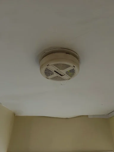 Marshall Laurence Surveyors photo 3