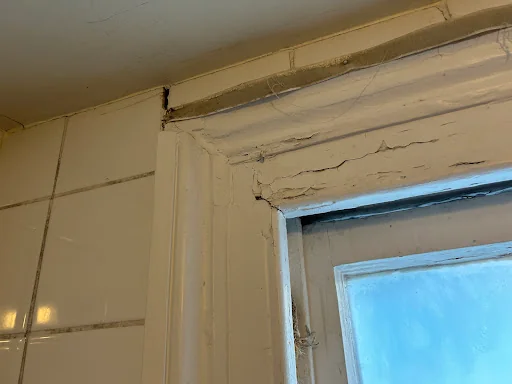 Marshall Laurence Surveyors photo 6