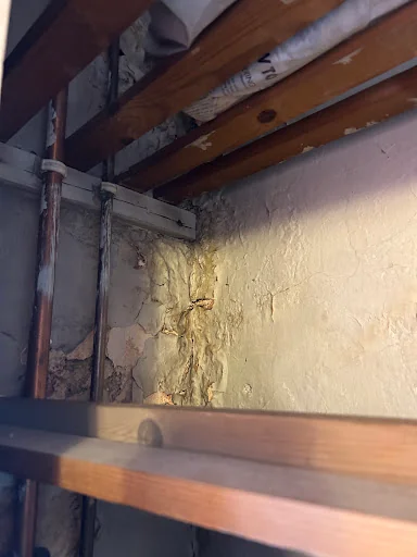 Marshall Laurence Surveyors photo 7