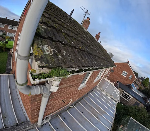 SGM Property Maintenance photo 8