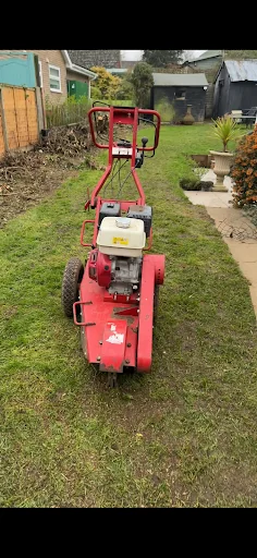 Alex's tree and gardening photo 6