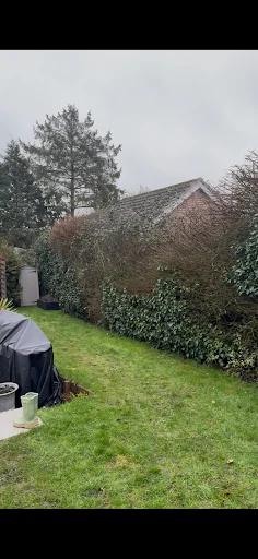 Alex's tree and gardening photo 7