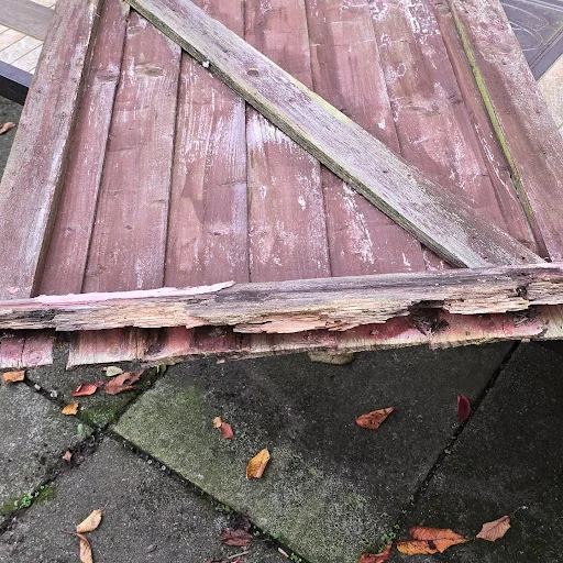 Strong Hands Home Services photo 1