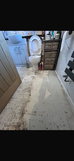 Total Moisture Control UK Ltd photo 4