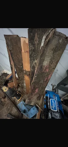 Total Moisture Control UK Ltd photo 5