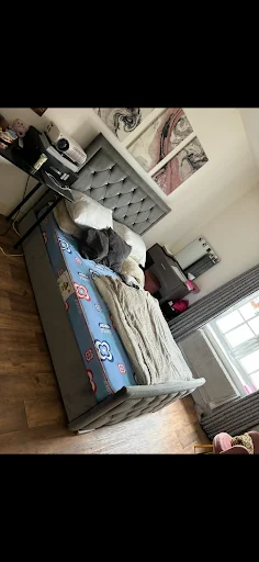 Movistar Cleaning Services photo 7