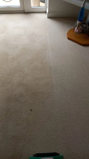 First Aid Carpet Cleaning photo 1