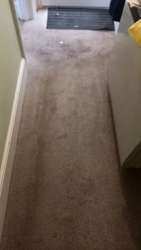 First Aid Carpet Cleaning photo 2