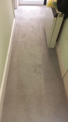 First Aid Carpet Cleaning photo 3