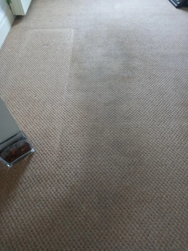 First Aid Carpet Cleaning photo 5