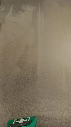 First Aid Carpet Cleaning photo 7