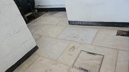 Ultimate paving photo 2