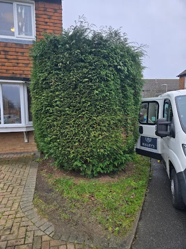 Bulley's Ground Maintenance Limited photo 3