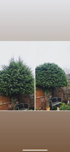 Bulley's Ground Maintenance Limited photo 5