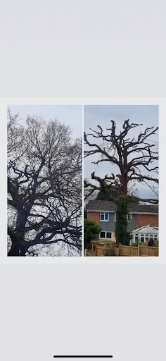 Bulley's Ground Maintenance Limited photo 7