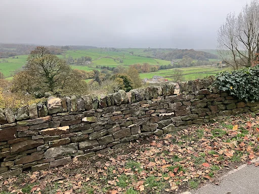 Silvanus Walling photo 5