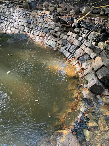 Silvanus Walling photo 6