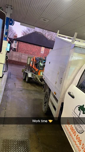 Alpine Arborist Ltd photo 2