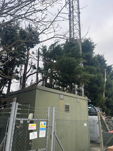 Alpine Arborist Ltd photo 6