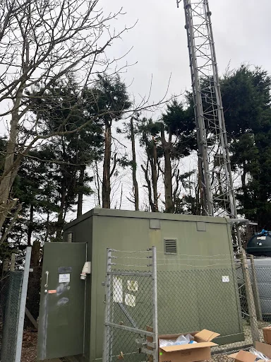 Alpine Arborist Ltd photo 7