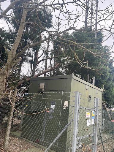 Alpine Arborist Ltd photo 8