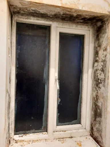 MM Painting &amp; Decorating photo 6