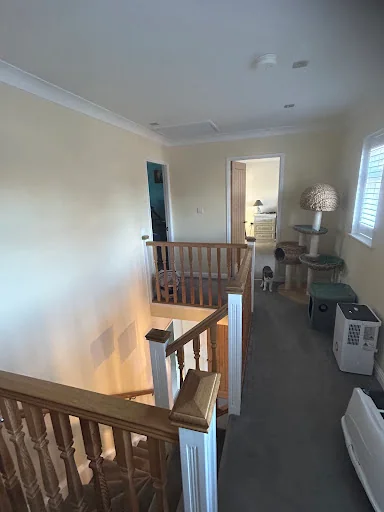 M.T.D Painting photo 5