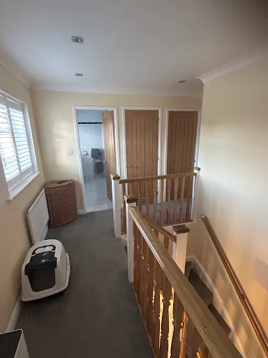 M.T.D Painting photo 6