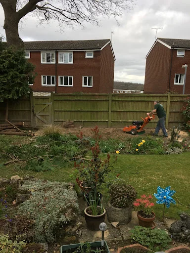 John &amp; Son - Tree &amp; Garden Services photo 2