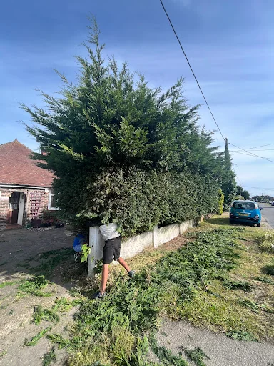 Towergate Builders And Developers Limited photo 8