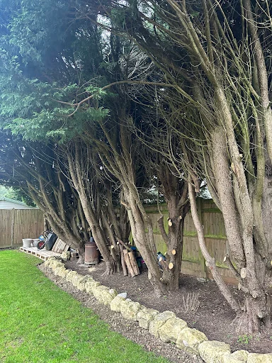 HUNNISETT’S TREE SURGEON &amp; GARDEN SERVICES LTD photo 5