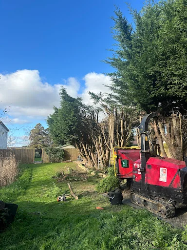 HUNNISETT’S TREE SURGEON &amp; GARDEN SERVICES LTD photo 6