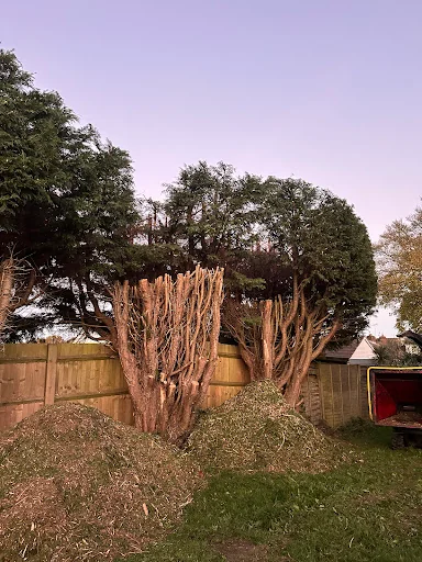 HUNNISETT’S TREE SURGEON &amp; GARDEN SERVICES LTD photo 8