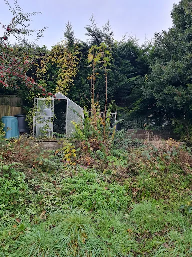 Allround Solutions (Surrey) Ltd photo 1