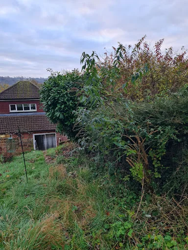 Allround Solutions (Surrey) Ltd photo 3