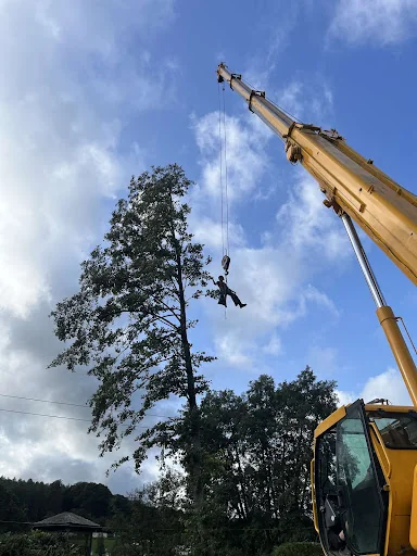 Hartlebury Hardwoods Ltd photo 1