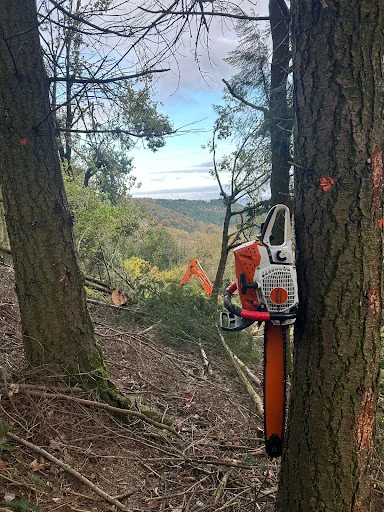 Hartlebury Hardwoods Ltd photo 3