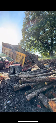 Hartlebury Hardwoods Ltd photo 4