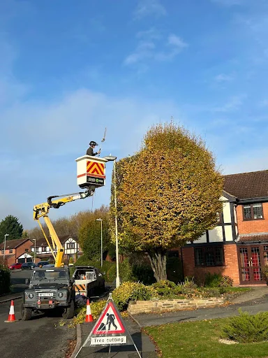 Hartlebury Hardwoods Ltd photo 5