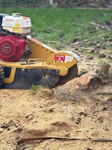 Hartlebury Hardwoods Ltd photo 6