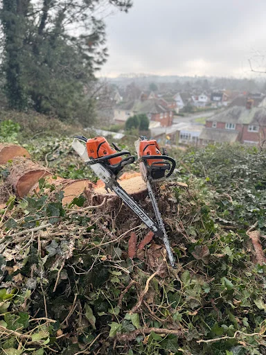 Hartlebury Hardwoods Ltd photo 8