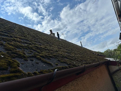 DW Roofing Specialists Ltd photo 2