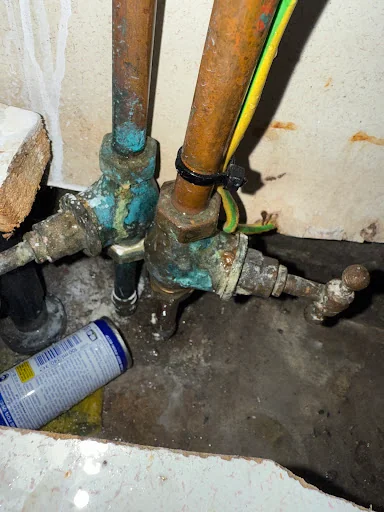 James Demetriou photo 1