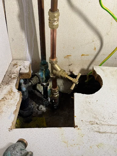 James Demetriou photo 2